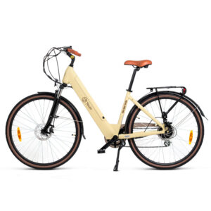 Bicicleta electrica Youin